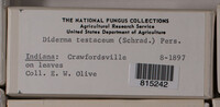 Image Associated With the Occurence